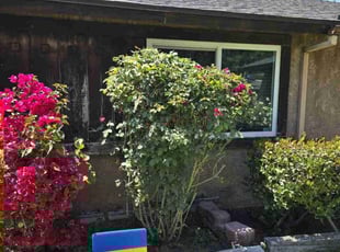Mignon G.'s Bush Trimming service result
