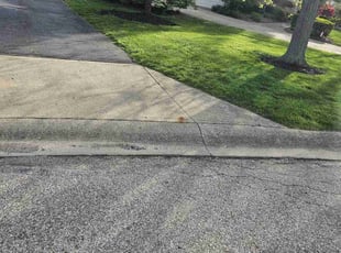 Sean N.'s Yard Cutting service result