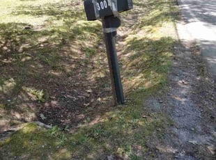 Leaf Removal by Curtis Cooke for James W. in High Point, NC