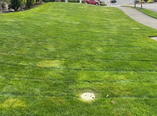 Robin C.'s Lawn Service service result