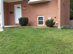 Hope B.'s Bush Trimming service result