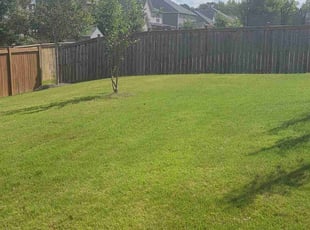 Anthony W.'s Lawn Mowing Service service result