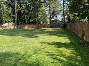 Vanessa W.'s Grass Cutting service result