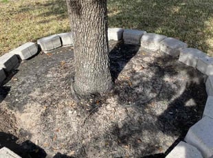 Weeding by Domingo Rosas for Terrance C. in Houston, TX
