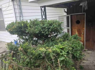 Bush Trimming by Daniel Peruso for Peter G. in Wilkes-Barre, PA
