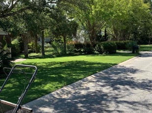 Thomas D.'s Lawn Mowing service result