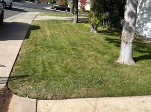 Chase C.'s Grass Cutting service result
