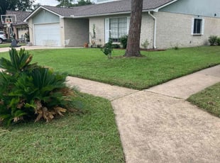 Emily D.'s Yard Cutting service result