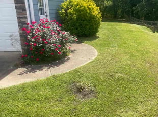 Heidi F.'s Lawn Care service result