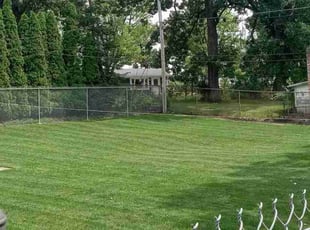 Dylan B.'s Yard Cutting service result