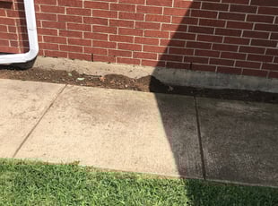 Weeding by Christopher Hernandez for Helen W. in Arlington, TX