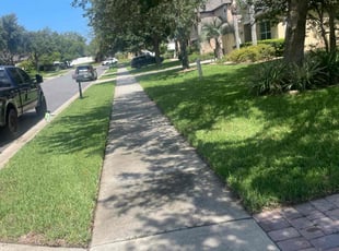 Brenda F.'s Lawn Mowing Service service result