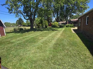 Walterina B.'s Lawn Mowing Service service result