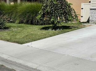 griffin b.'s Lawn Mowing service result