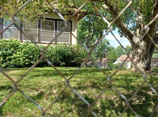 Cleanups by David Gallaway for Tianna J. in Saint Paul, MN