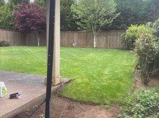 Lee M.'s Yard Cutting service result