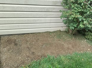 Weeding by Maurice Rodgers for Caitlin W. in Havertown, PA