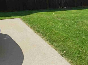 Bryan B.'s Lawn Service service result