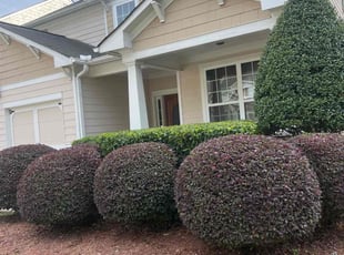 Bush Trimming by Louis Sampson for Heather T. in Mableton, GA