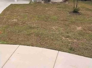 Helga G.'s Grass Cutting service result