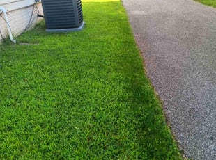 Tedd S.'s Lawn Care service result