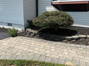 Bush Trimming by Luis Lopez Hernandez for Marie C. in Hazlet, NJ