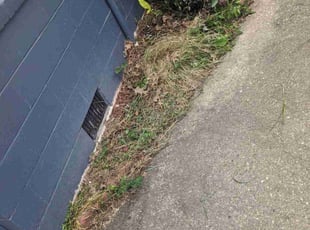 Bush Trimming by James Kevin for Austin R. in Charleston, SC