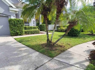 Andres A.'s Yard Cutting service result
