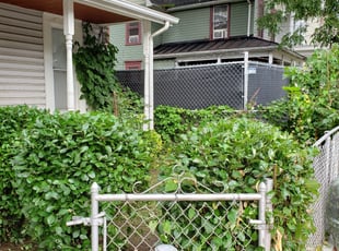 Bush Trimming by Fidel Rodriguez for Carolyn S. in Washington, DC
