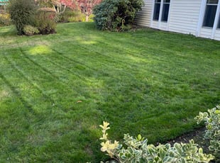 Gale J.'s Yard Cutting service result