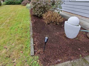 Bush Trimming by Coben Varland for Tammie H. in Everett, WA