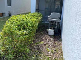 Bush Trimming by Genet Rena for Joseph M. in Orlando, FL