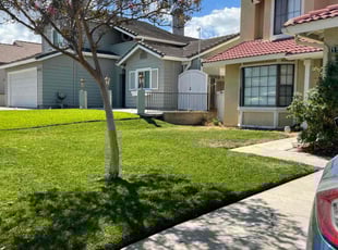 Deborah l.'s Lawn Maintenance service result