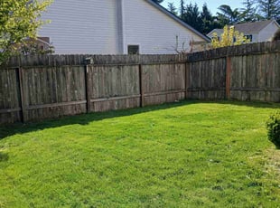 Stacey S.'s Lawn Mowing service result