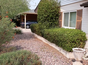 Bush Trimming by Raul Blanco for Ryan V. in Scottsdale, AZ