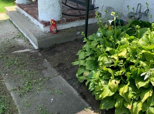 Weeding by Deven Coles for Evelyn W. in Yeadon, PA