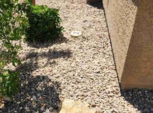 Weeding by Lamont Johnson for Jenna S. in North Las Vegas, NV
