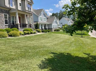 Yomara M.'s Lawn Care service result