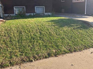 Leaf Removal by Chris Deshon for Erich K. in Granite City, IL