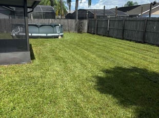 Rodolfo U.'s Lawn Maintenance service result