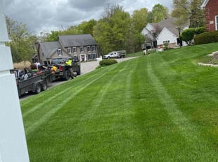 Lakesha E.'s Lawn Mowing service result