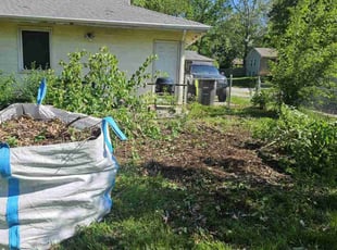 Cleanups by Grant Seura for Christopher T. in Belton, MO