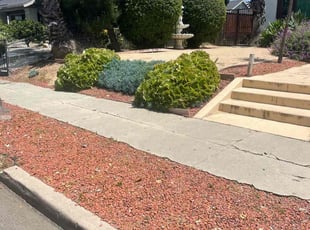 Chris C.'s Bush Trimming service result