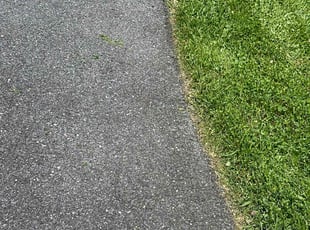 Mike B.'s Yard Cutting service result