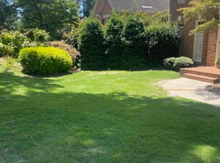 Samuel C.'s Lawn Mowing service result