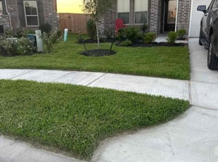 David J.'s Lawn Care service result