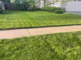 Robin C.'s Lawn Service service result