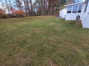 Leaf Removal by David Fregeau for Stacy O. in Nashua, NH