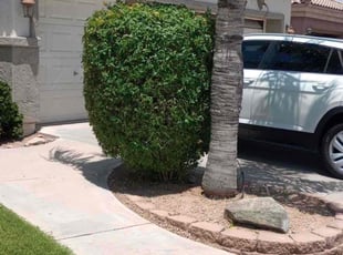 Bush Trimming by Sergio Laurean for Melina S. in Chandler, AZ