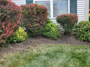 Weeding by Edward Mauler for Michael R. in Galloway, OH